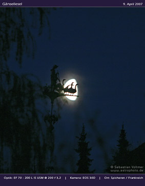 Gnseliesel mit Mond, 9. April 2007